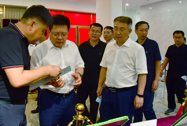 生态环境部华东督察局调研组一行到盛阳集团考察