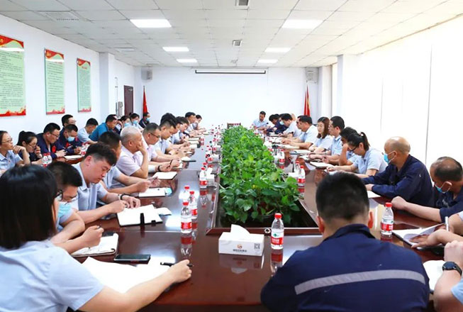 转作风 提效能 树形象，盛阳集团召开党建专题会