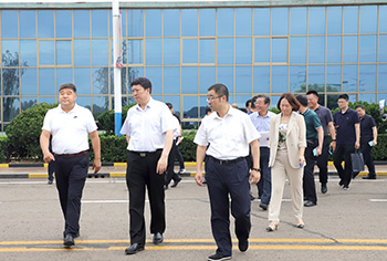 临沂市委常委、副市长隽新阳带队到盛阳集团调研
