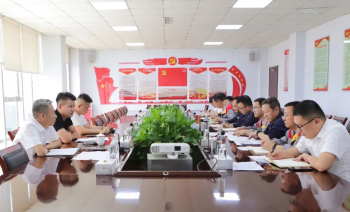 盛阳集团组织召开产品质量专题分析会