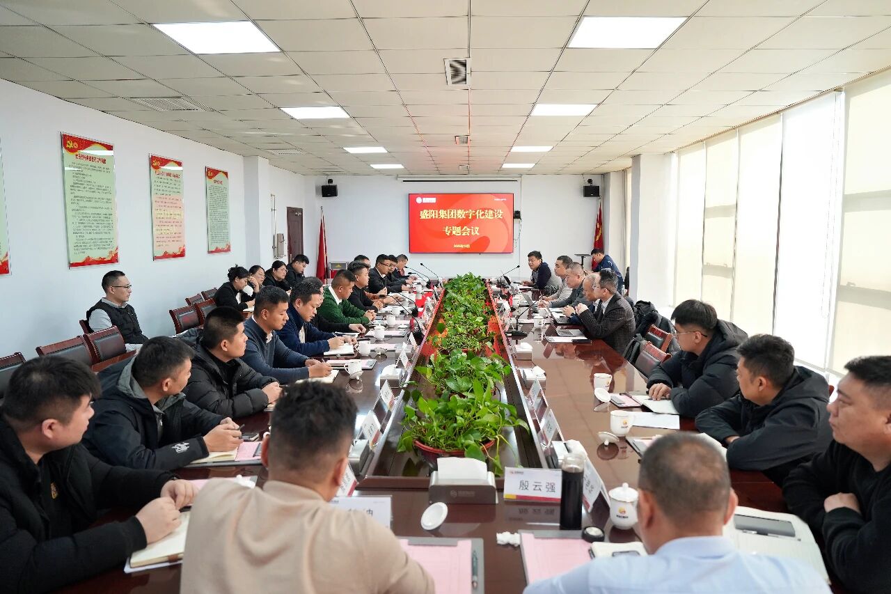 盛阳集团组织召开数字化建设专题会议